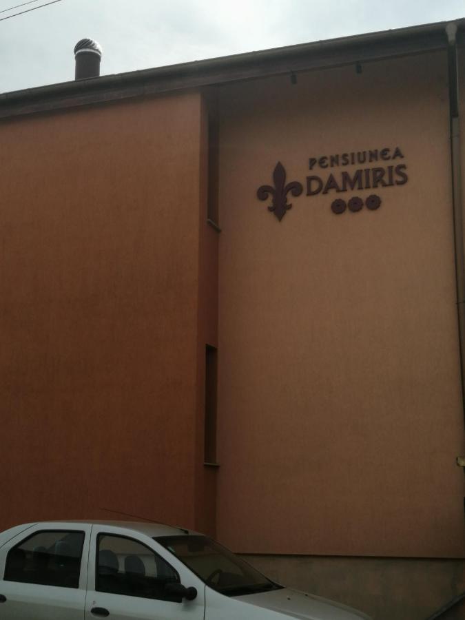 Pensiunea Damiris Băile Felix 外观 照片